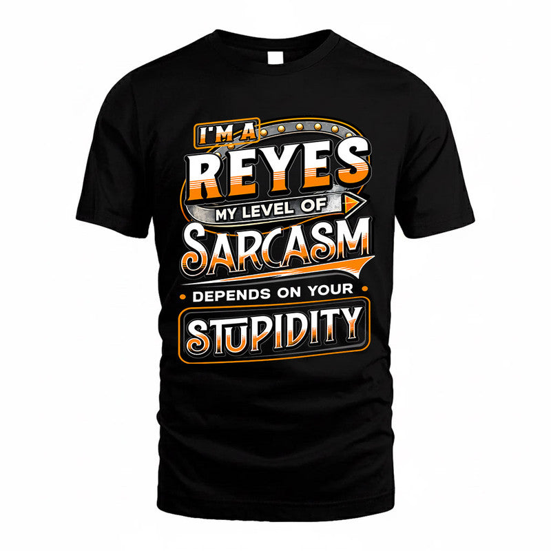 REYES TT88-K6-229 – Personalized Funny Sarcasm Apparel "My Level Of Sarcasm Depends On Your Stupidity"